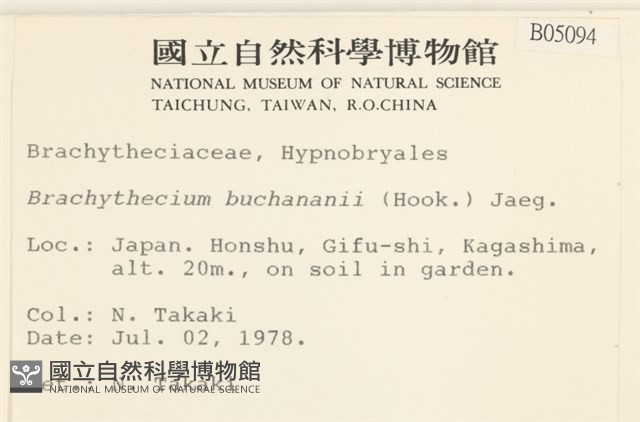 細枝青蘚藏品圖，第2張