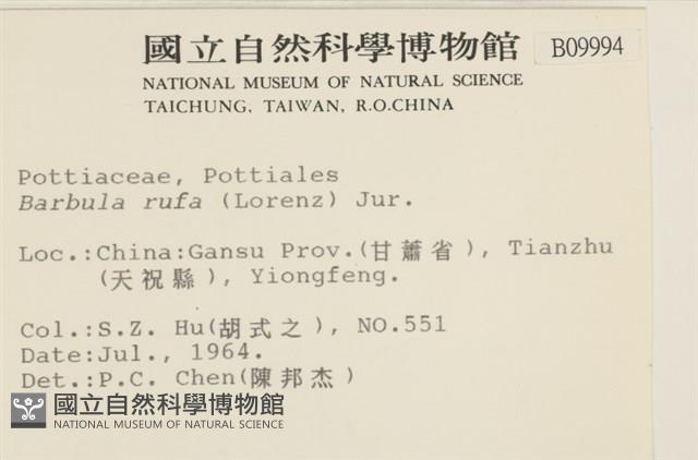 登錄號:B00009994藏品圖，第2張