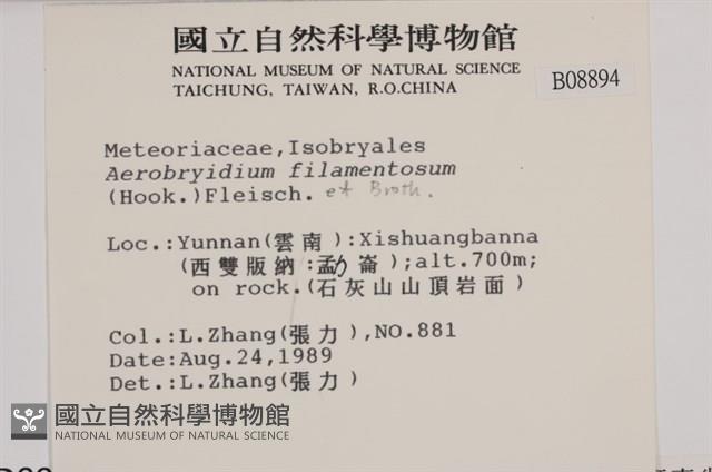 毛扭蘚藏品圖，第2張