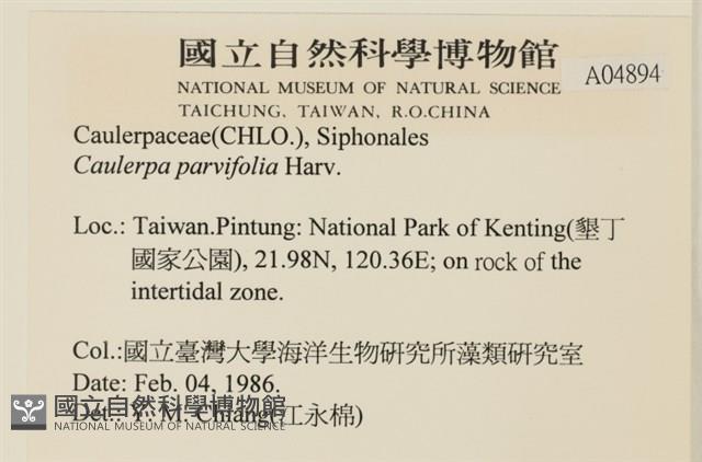 登錄號:A00004894藏品圖，第2張