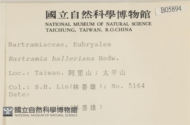 登錄號:B00005894藏品圖，第2張