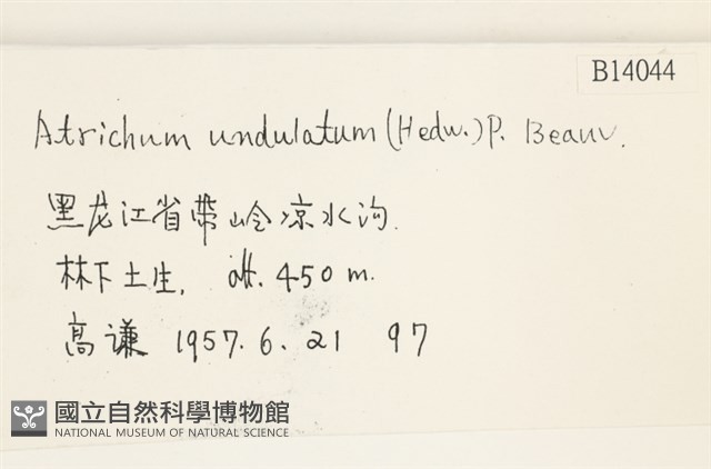 仙鶴蘚藏品圖，第2張