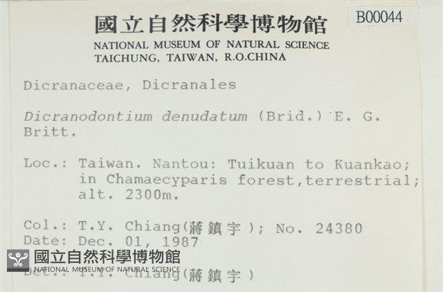 青毛苔藏品圖，第2張