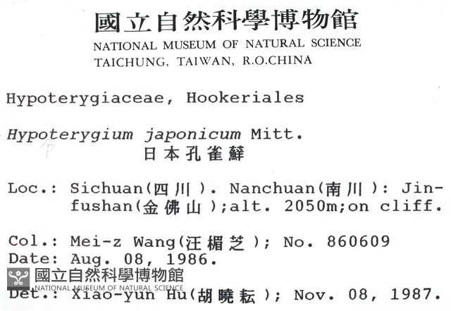 日本孔雀蘚藏品圖，第2張