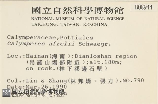 登錄號:B00008944藏品圖，第2張