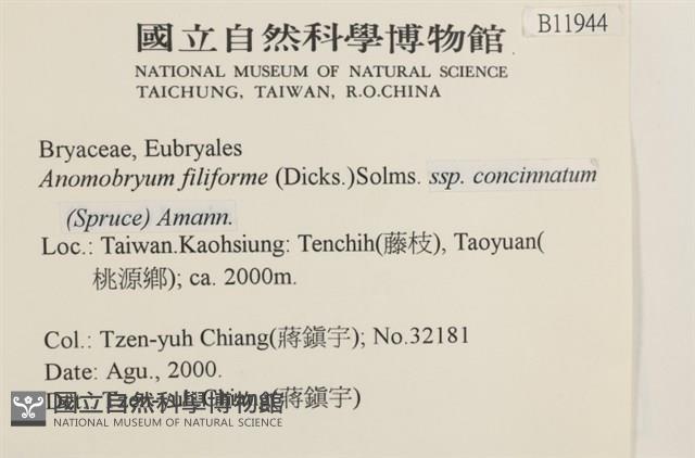 登錄號:B00011944藏品圖，第2張