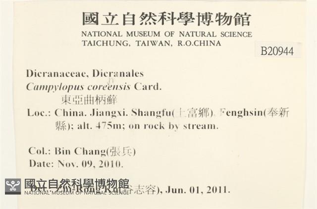 東亞曲柄蘚藏品圖，第2張