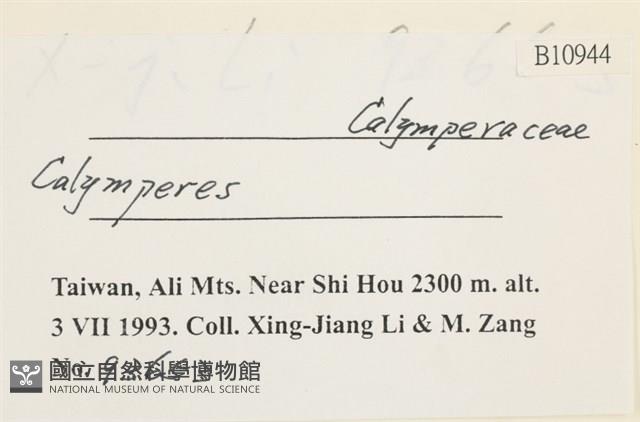 登錄號:B00010944藏品圖，第2張