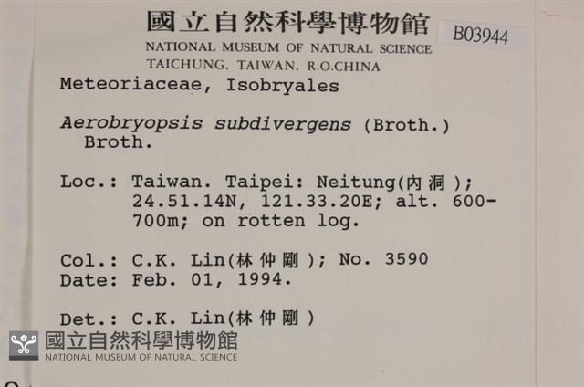 大灰氣蘚藏品圖，第2張