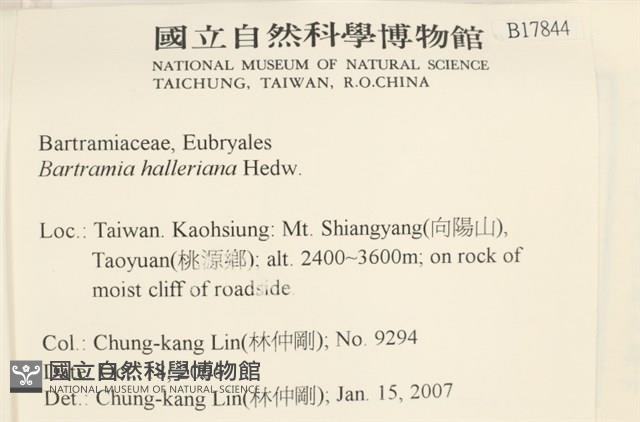 登錄號:B00017844藏品圖，第2張