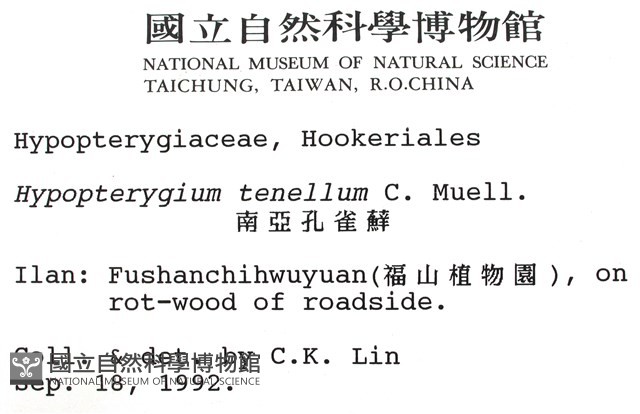 南亞孔雀蘚藏品圖，第2張