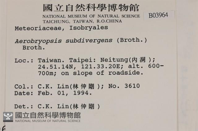 大灰氣蘚藏品圖，第2張