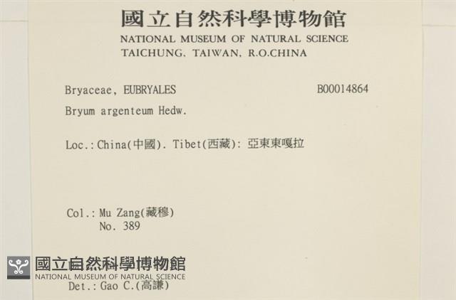 真蘚藏品圖，第2張