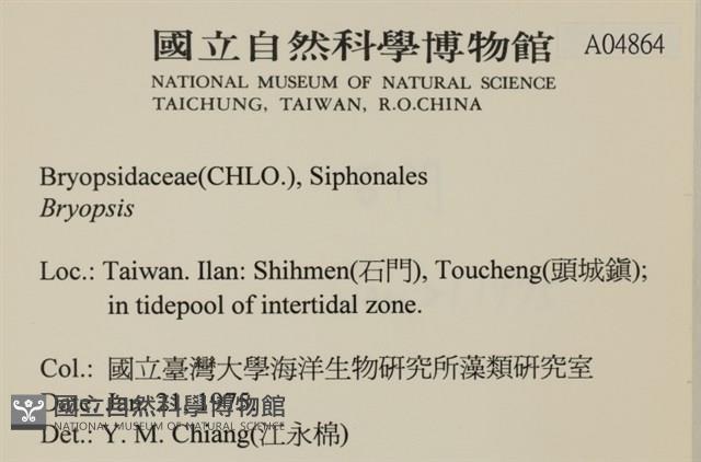 登錄號:A00004864藏品圖，第2張
