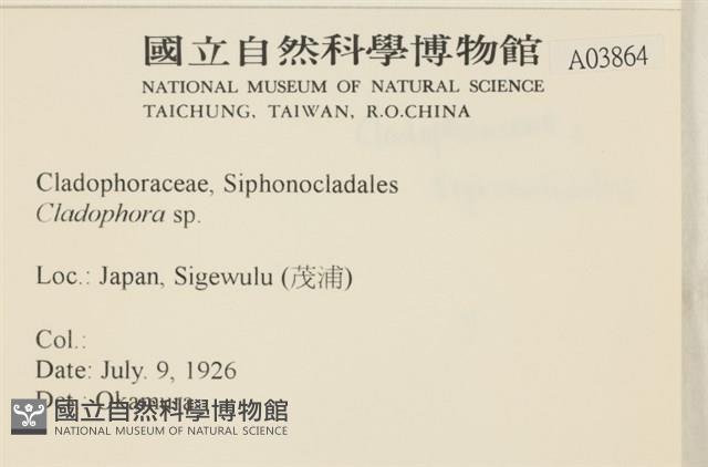 登錄號:A00003864藏品圖，第2張