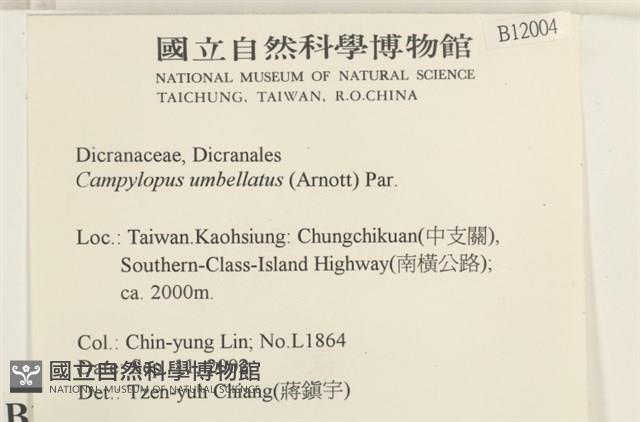 登錄號:B00012004藏品圖，第2張