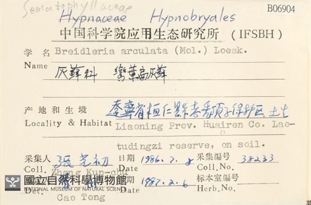 彎葉扁灰蘚藏品圖，第2張