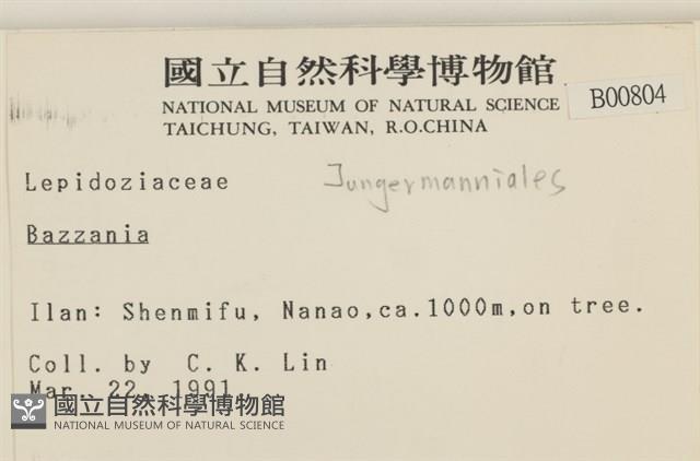 登錄號:B00000804藏品圖，第2張