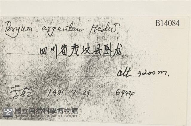 真蘚藏品圖，第2張
