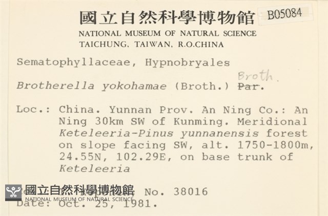 登錄號:B00005084藏品圖，第2張