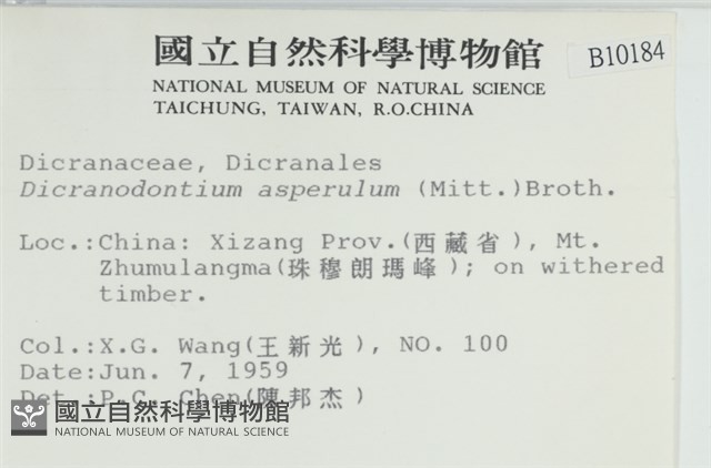 粗毛青毛蘚藏品圖，第2張