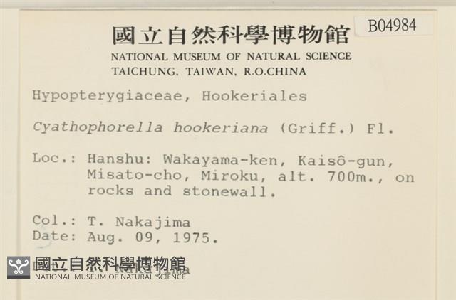 登錄號:B00004984藏品圖，第2張