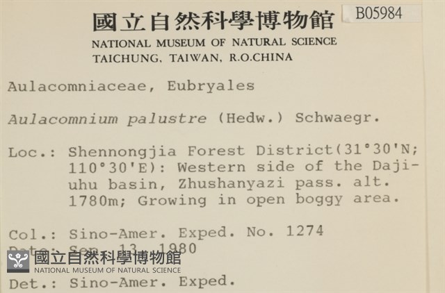 登錄號:B00005984藏品圖，第2張