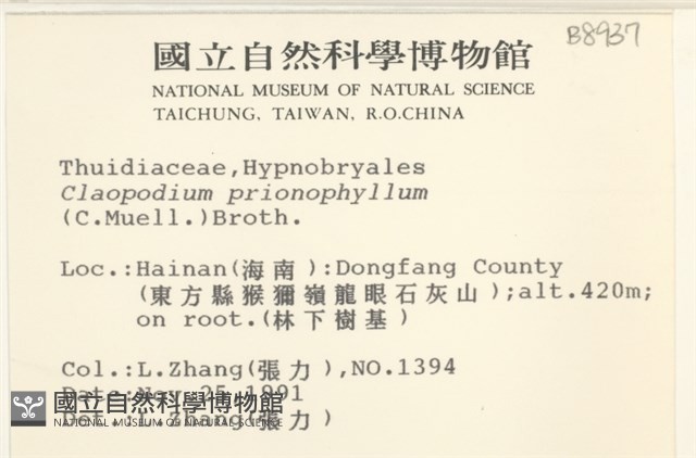 登錄號:B00008937藏品圖，第2張