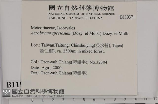 登錄號:B00011937藏品圖，第2張