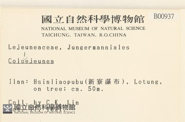 登錄號:B00000937藏品圖，第2張