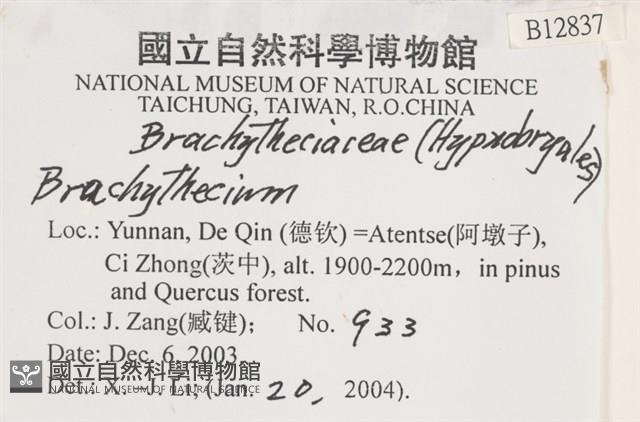 登錄號:B00012837藏品圖，第2張