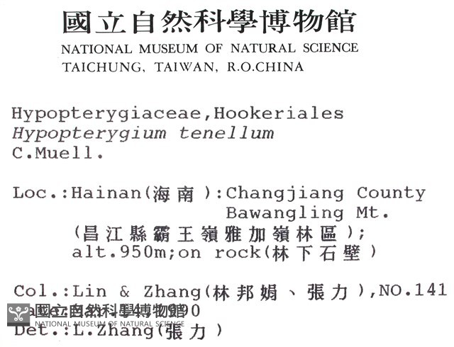 南亞孔雀蘚藏品圖，第2張