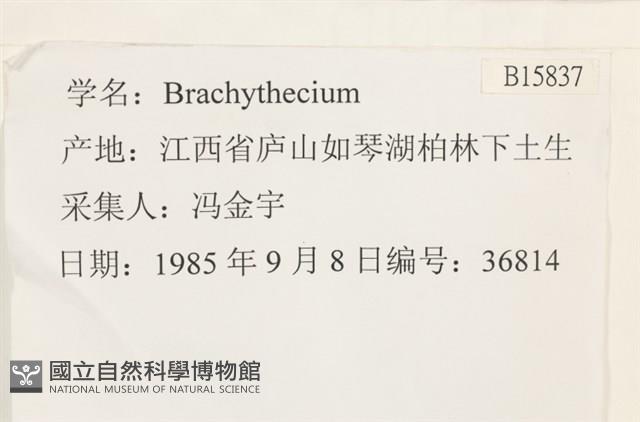 登錄號:B00015837藏品圖，第2張
