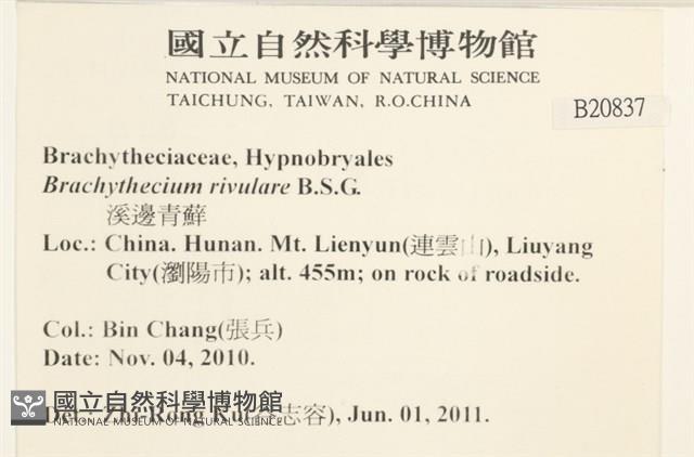 溪邊青蘚藏品圖，第2張