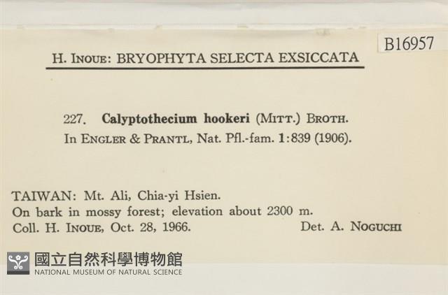 登錄號:B00016957藏品圖，第2張