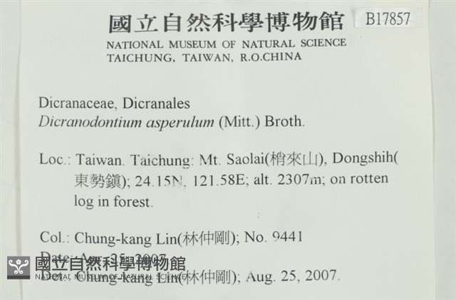 粗毛青毛蘚藏品圖，第2張
