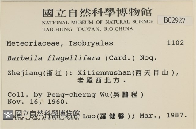鞭枝懸蘚藏品圖，第2張