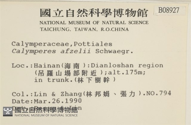 登錄號:B00008927藏品圖，第2張
