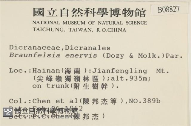 登錄號:B00008827藏品圖，第2張