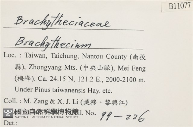登錄號:B00011077藏品圖，第2張