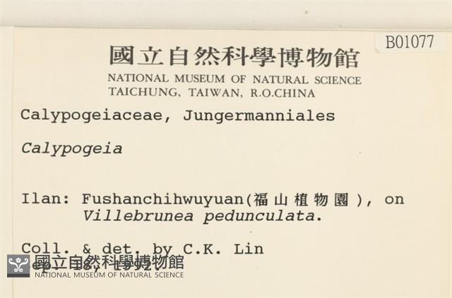 登錄號:B00001077藏品圖，第2張