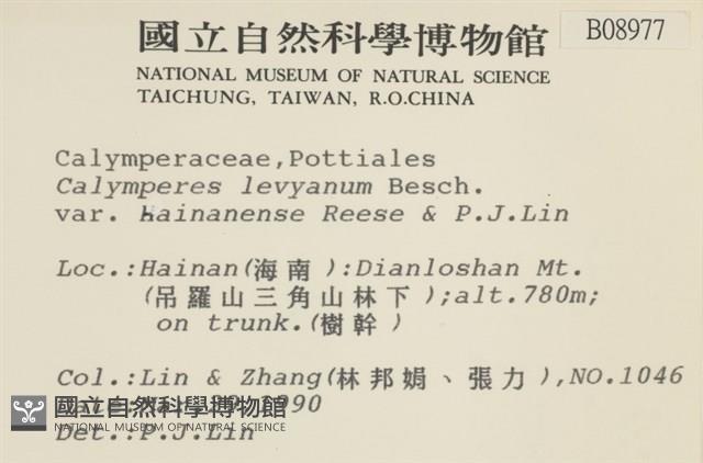 登錄號:B00008977藏品圖，第2張