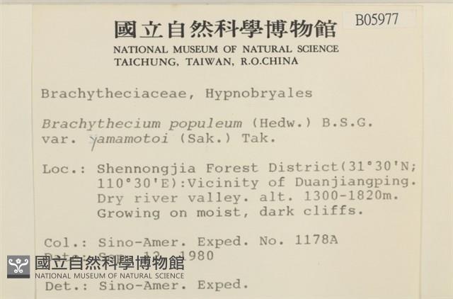 登錄號:B00005977藏品圖，第2張