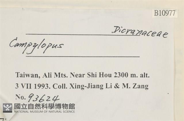 登錄號:B00010977藏品圖，第2張