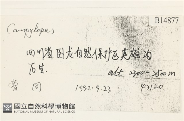 登錄號:B00014877藏品圖，第2張