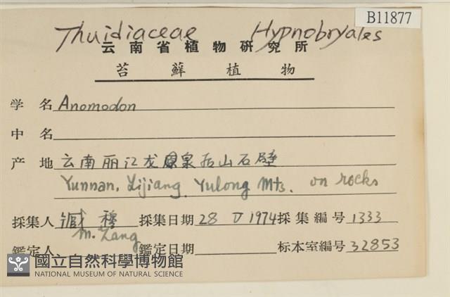 登錄號:B00011877藏品圖，第2張