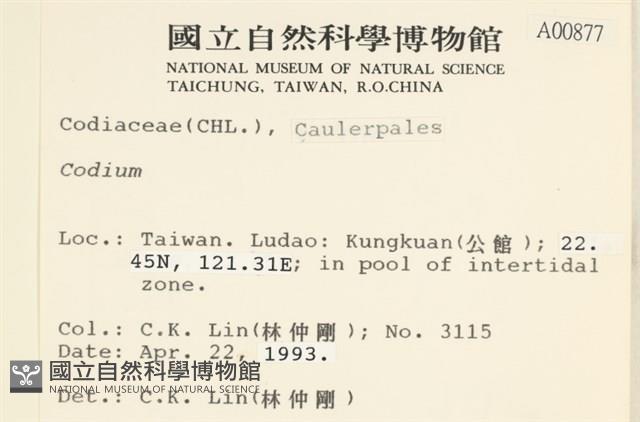 登錄號:A00000877藏品圖，第2張