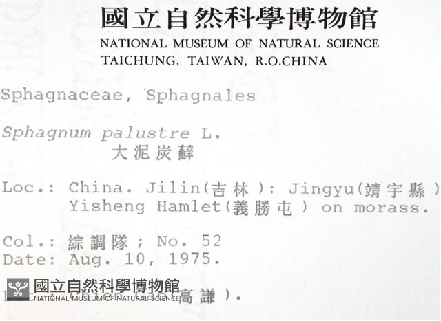 大泥炭蘚藏品圖，第2張