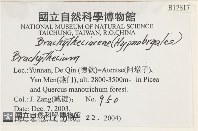 登錄號:B00012817藏品圖，第2張