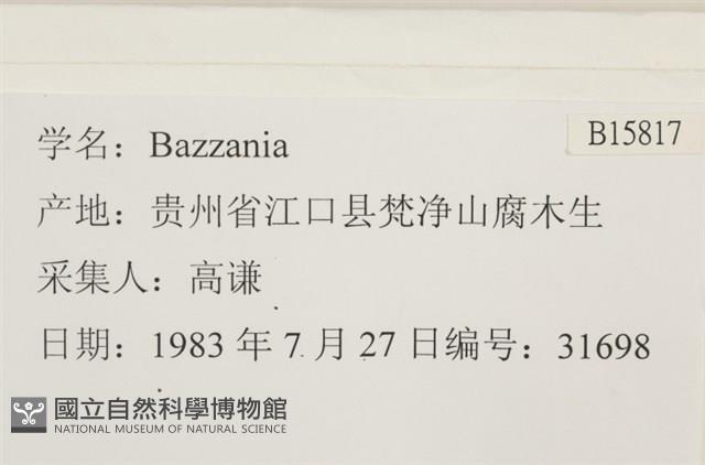 登錄號:B00015817藏品圖，第2張